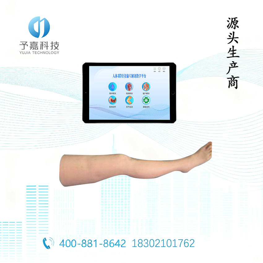 交互式腿部针灸多媒体教学系统 | 上海予嘉智能科技 - 下肢穴位针刺训练考核平台